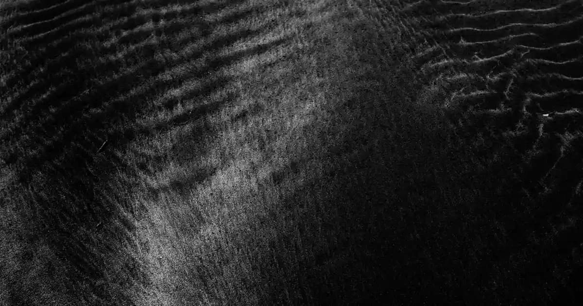 2025'te Yağlı Saçlara Son: Kerastase Specifique Bain Divalent ile Tanışın