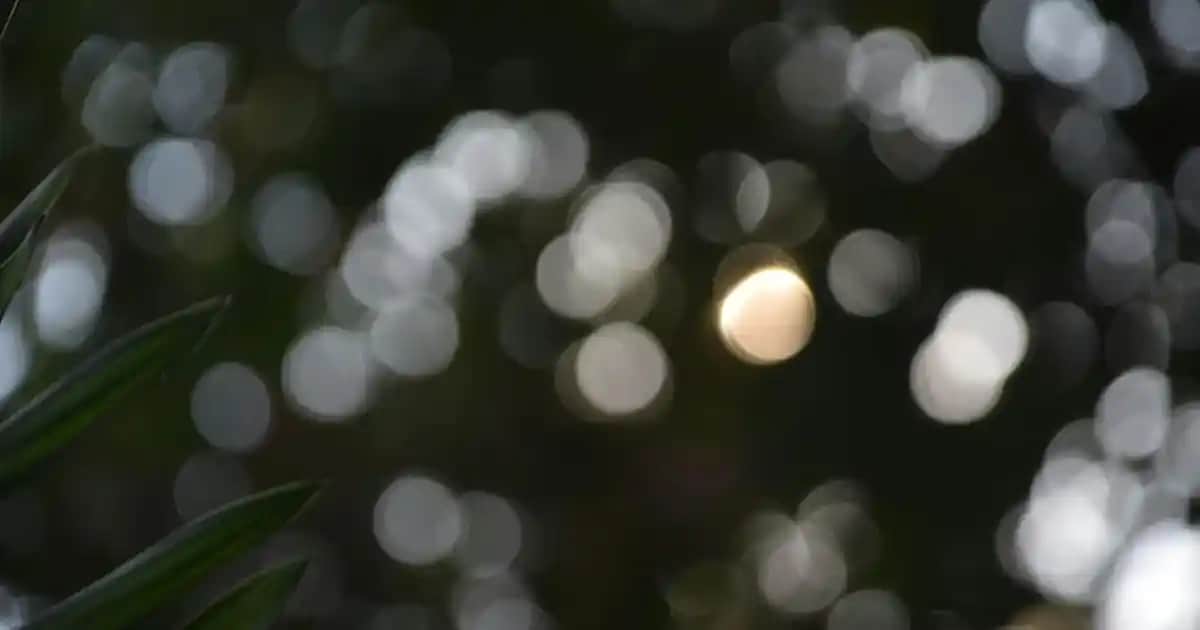 Keratin Bakım Şampuanlarının Saç Sağlığına Katkıları ve Doğru Seçim Yöntemleri