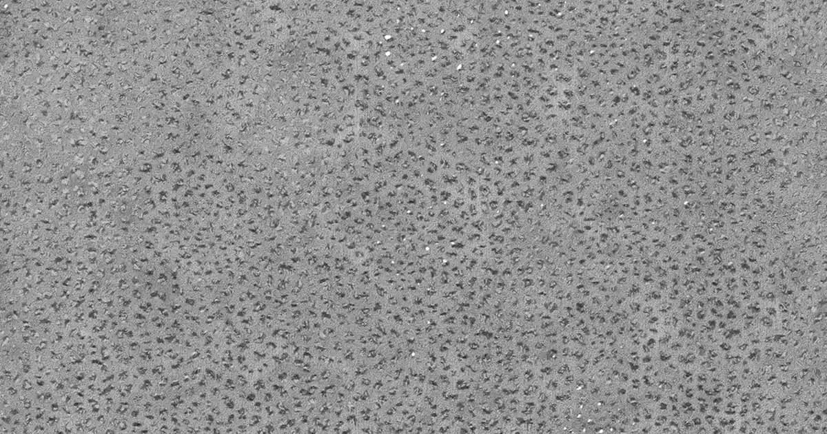 Koenzim Vitaminleri ve Cilt Sağlığına Katkıları: Doğal ve Etkili Bakım Seçenekleri