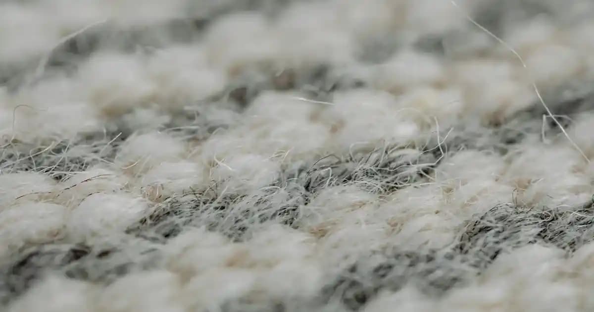 Kolajen Nedir, Faydaları ve Doğal Kaynaklarıyla Güzellik ve Sağlık İçin Önemi