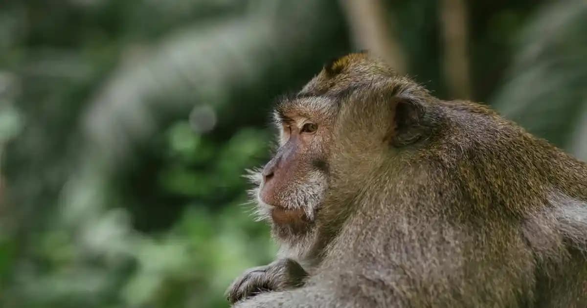 2025'te Kolajen ve Omega-3: Cildinizde Mucizeler Yaratan Sırları Keşfedin