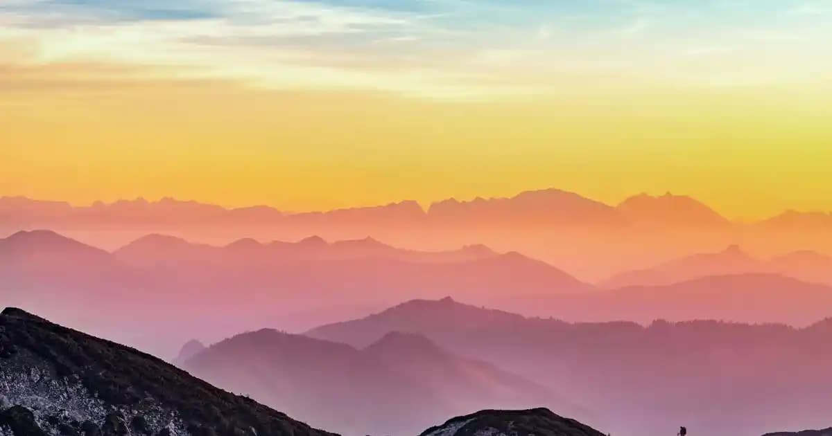 2025'te Koleston Naturals Saç Boyasıyla Doğal Renk Sırları