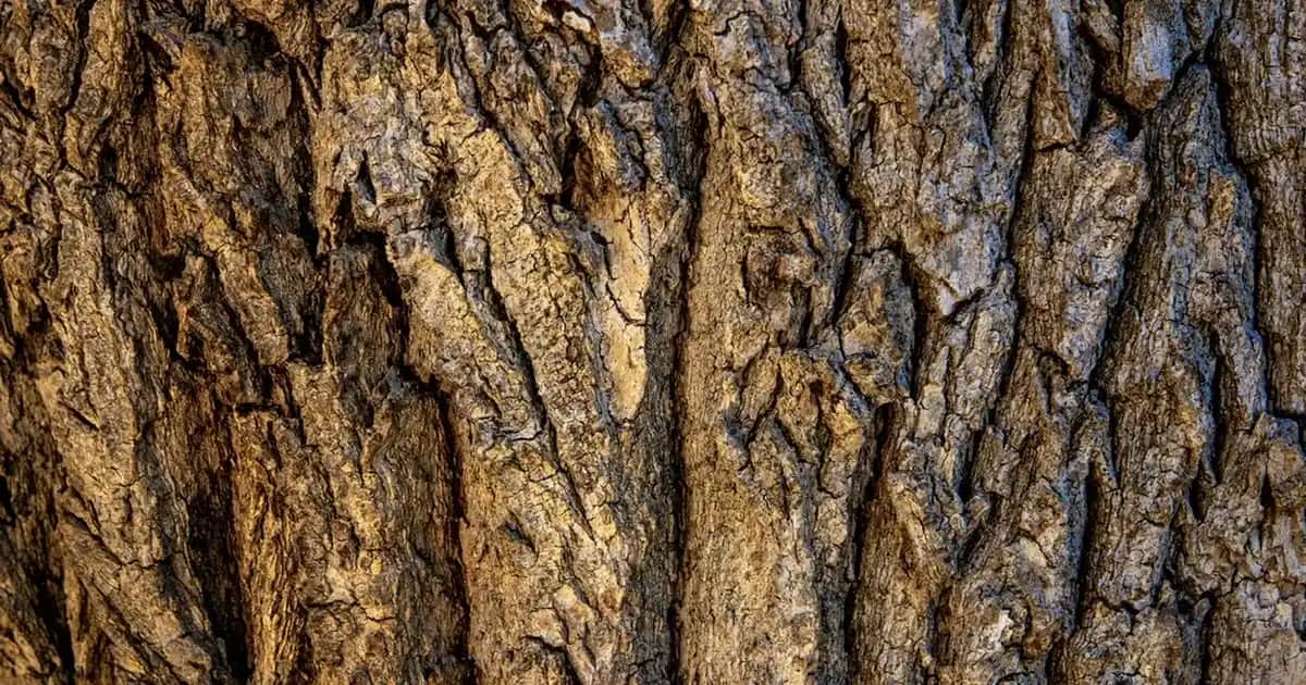 Koltuk Altı Kararması İçin Bepanthol ile Güvenli ve Etkili Çözüm Yöntemleri
