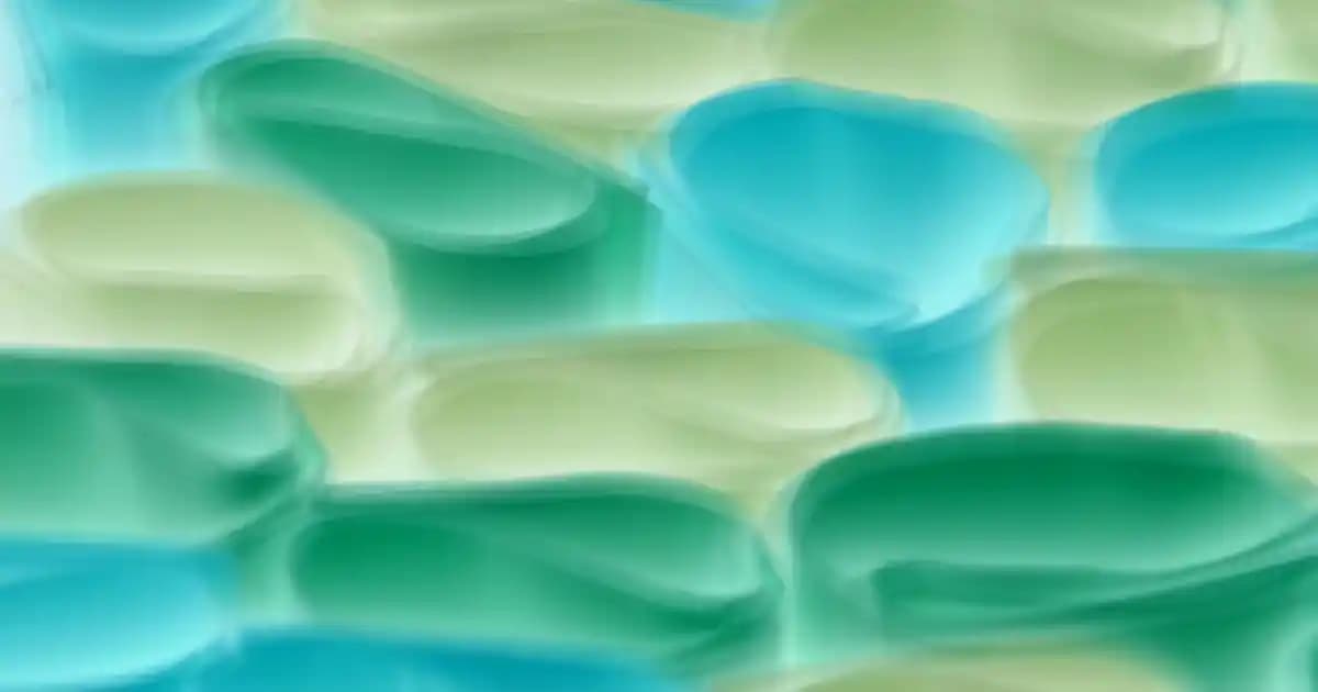 Koltuk Altı Kremi Kullanımı ve En İyi Markalar Hakkında Detaylı Bilgi