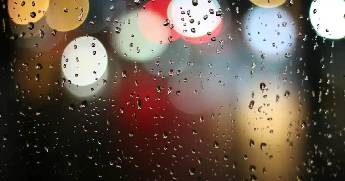 Kozmetik Sektöründe LRP: Güvenlik ve Kalite Standartlarıyla Yenilikçi Yaklaşımlar