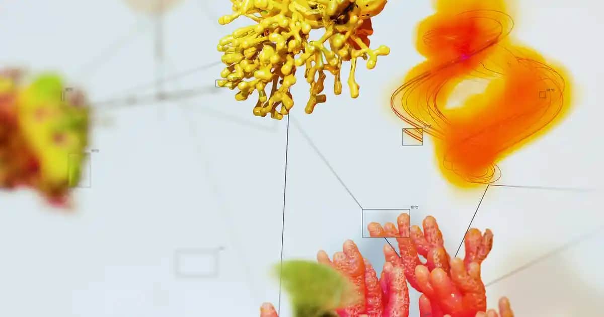 Kozmetik ve Nutrigene Yaklaşım ile Kişisel Güzellik ve Sağlık Çözümleri