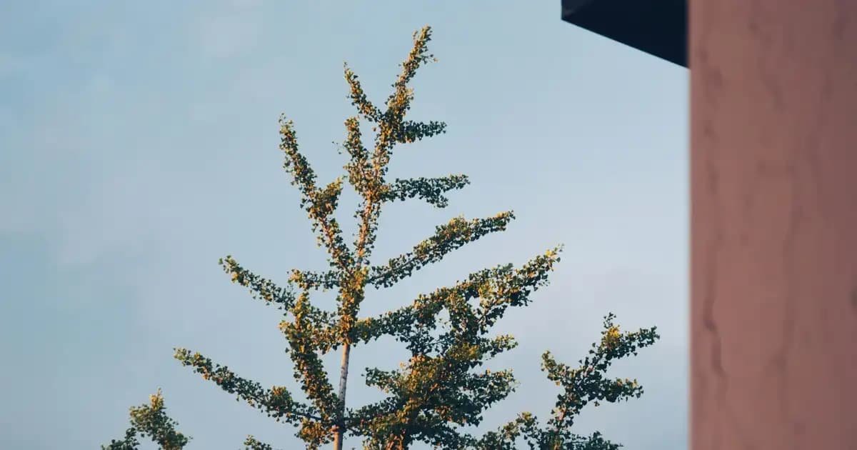 Kozmetik ve Sağlık İçin En İyi Tansiyon Aleti Seçim Rehberi 2023