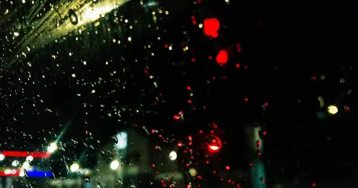 Krill Yağı Fiyatları ve Kozmetik Sektöründeki Yeri Analizi