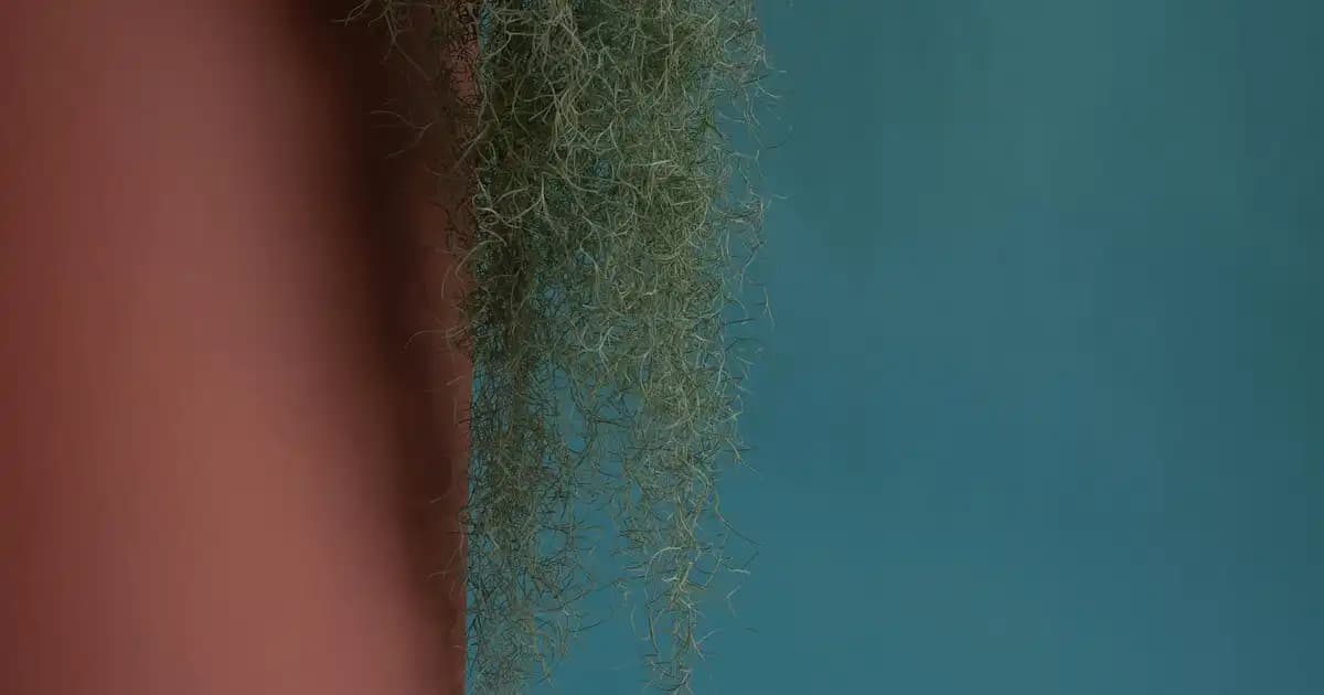 Krom Nedir Kozmetik Dünyasında Kullanımı ve Cilt Sağlığına Faydaları