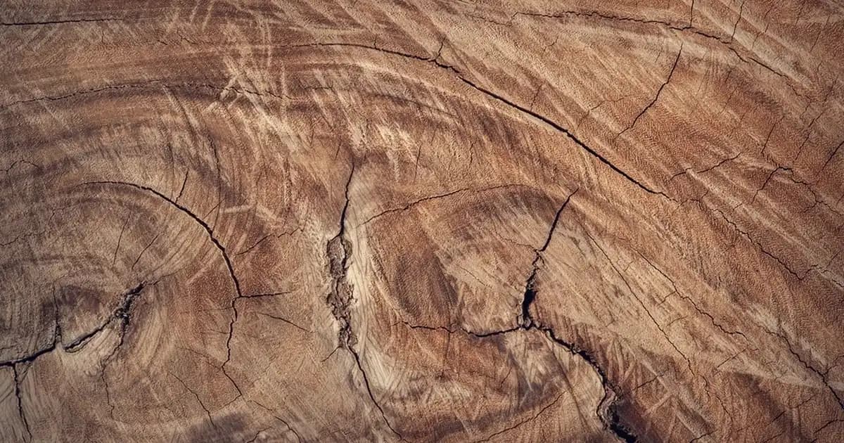 Krom Pikolinat Nedir ve Sağlık ile Kozmetik Alanındaki Rolü Hakkında Detaylı Bilgi