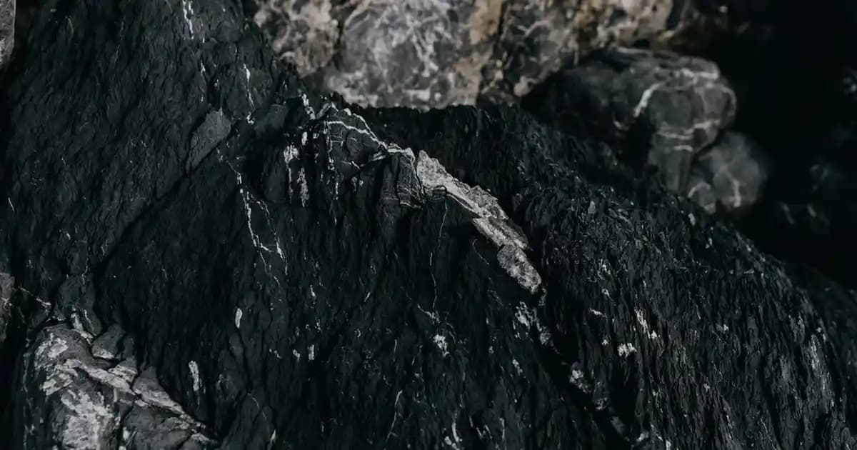 Kuru Ciltler İçin En İyi Yüz Nemlendirici Kremler ve Kullanım İpuçları