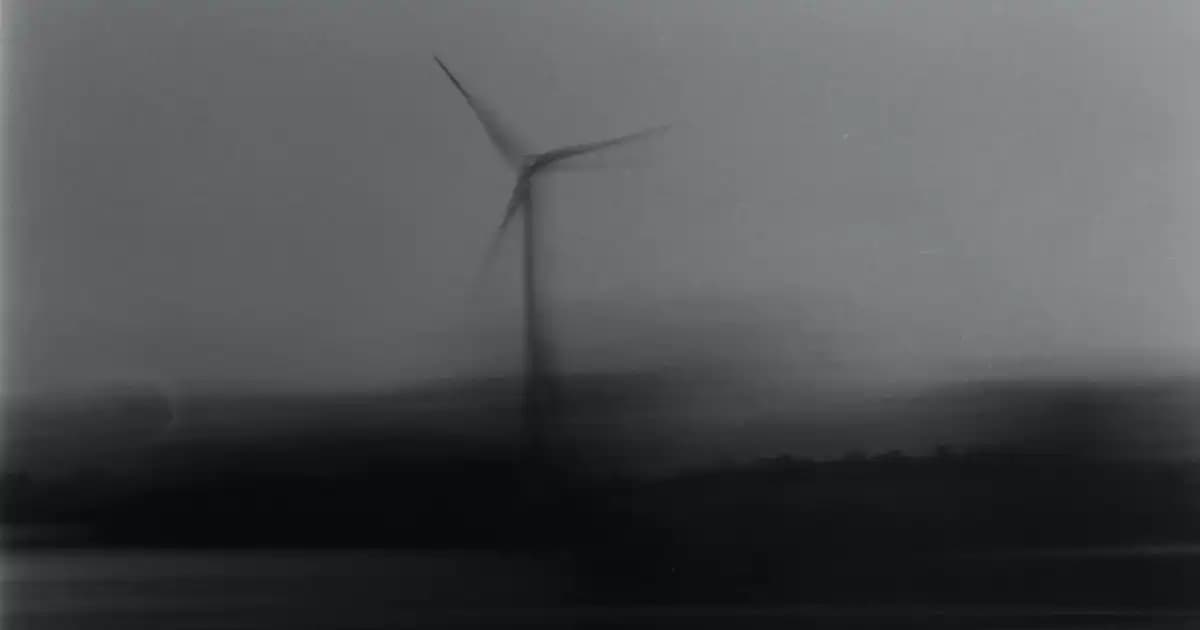 Kuru Kıvırcık Saçlar İçin Etkili Bakım Yöntemleri ve İpuçları