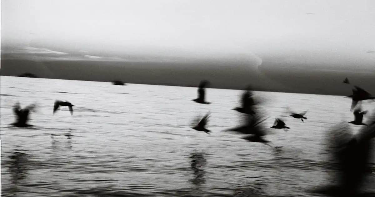 Kuru Saçlar İçin En İyi Şampuanlar ve Etkili Bakım Yöntemleri Rehberi