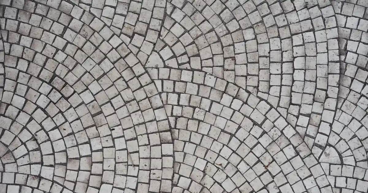 Kuşburnu Çekirdeğinin Kozmetik ve Cilt Sağlığına Katkıları Analizi