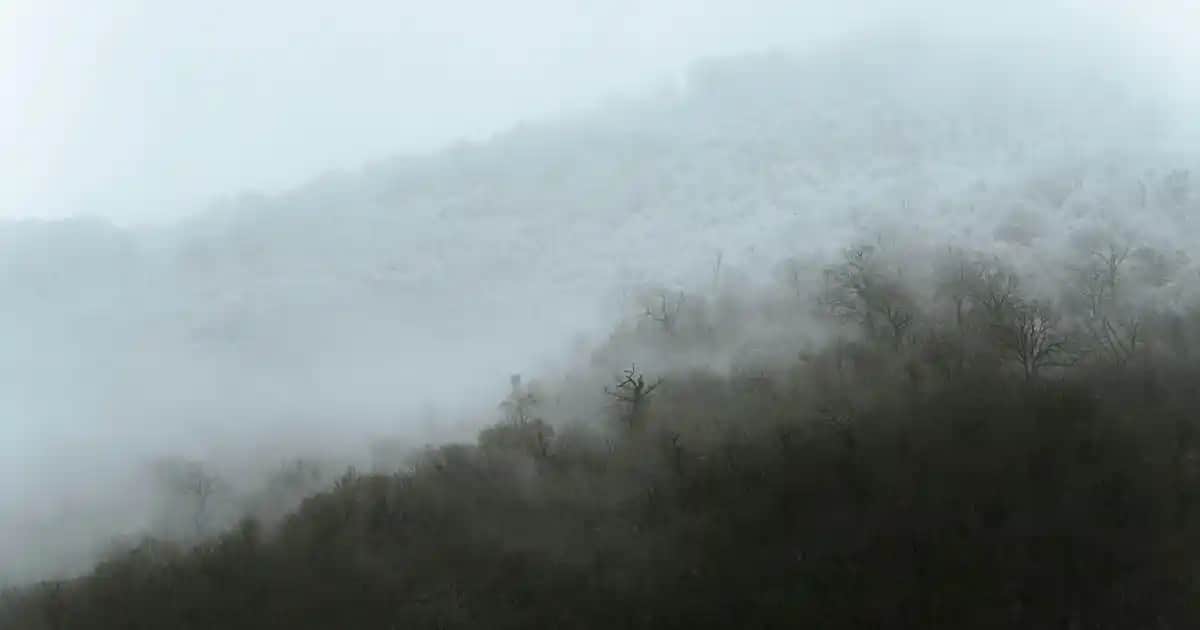 L'Oréal 10 Açık Sarı Saç Boyası Kullanıcı Deneyimleri ve Uygulama İpuçları