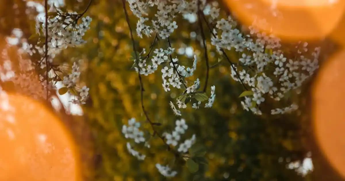 L'Oréal Bambi Eyes Maskara: Doğal ve Hacimli Kirpikler İçin En İyi Seçenek