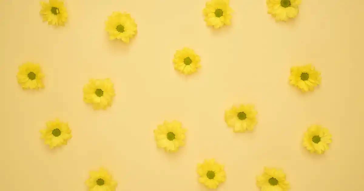 L'Oréal Infallible Full Wear Waterproof Concealer: Uzun Süre Dayanıklı ve Doğal Görünüm Sağlayan Kapatıcı