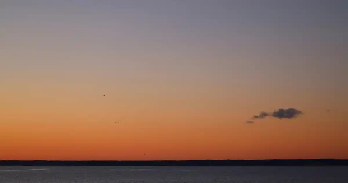 L'Oréal Koyu Kestane Saç Boyası: Kalıcı ve Doğal Görünüm Sağlayan Güvenilir Seçenek