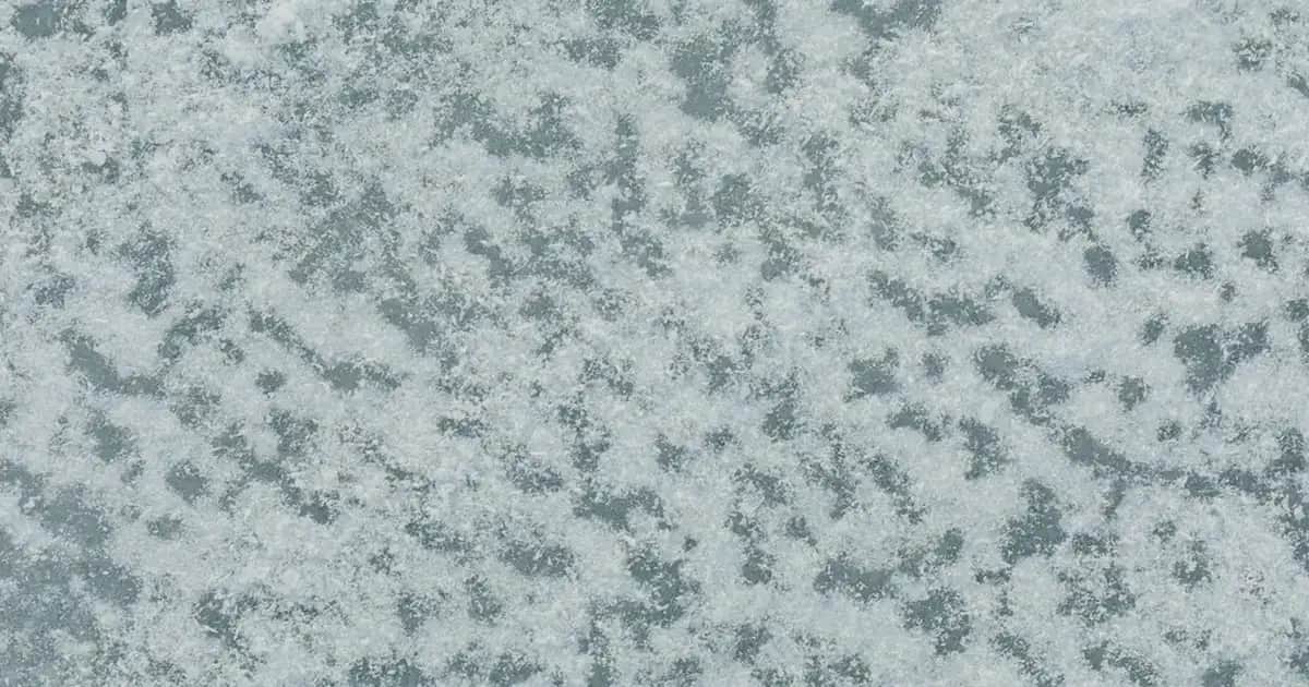 L'Oréal Paradise Maskara ile Hacimli ve Uzun Kirpiklere Ulaşmanın En İyi Yolu