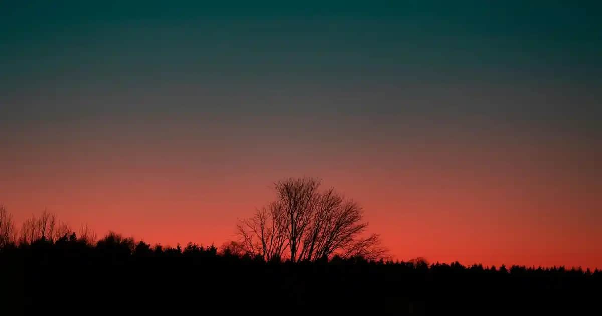 L'Oréal Paris Air Volume Mega Maskara: Hafiflik ve Hacim Sunan Yenilikçi Formül