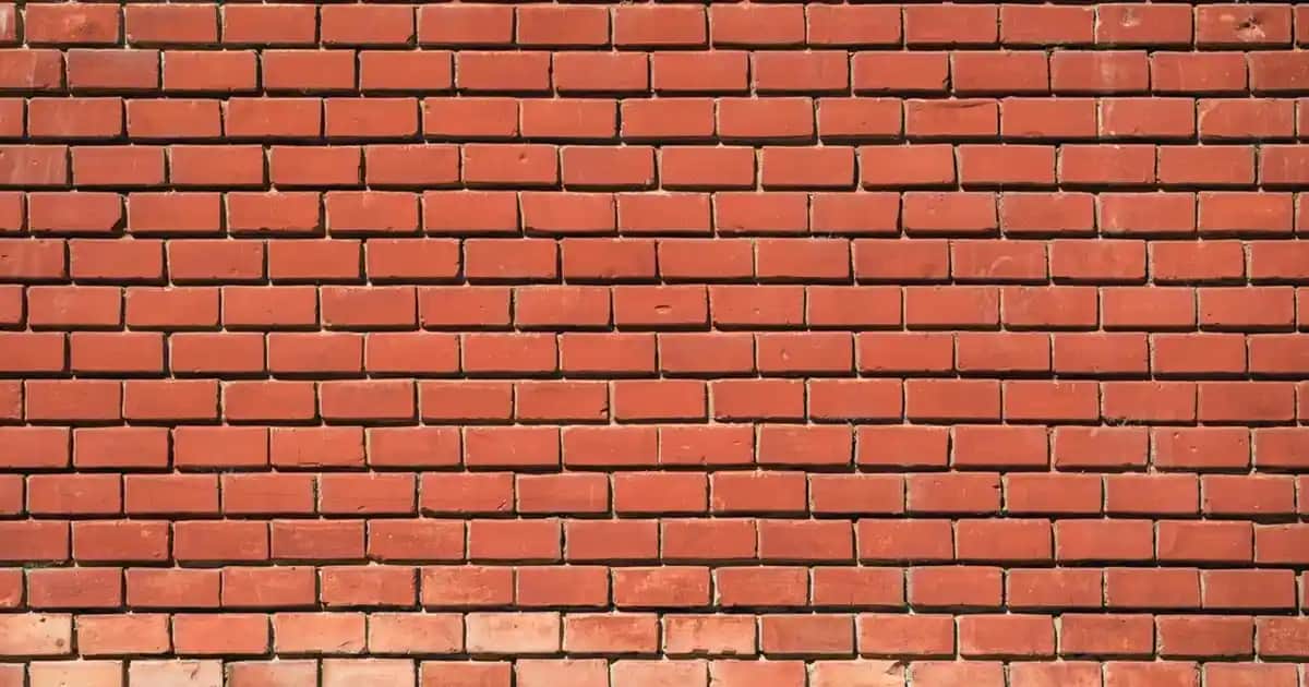 L'Oreal Paris Kadın Parfümleri: Çeşitli Koku Seçenekleri ve Kalıcılık Özellikleri