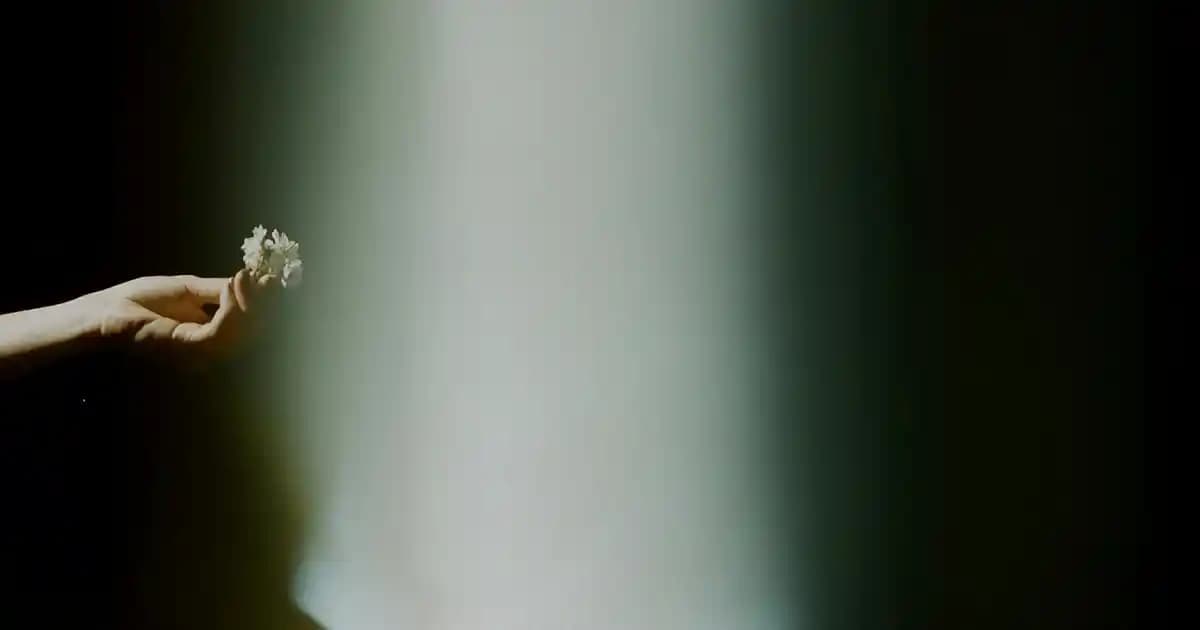 L'Oréal Saç Boyası Fiyatları ve Çeşitleri Hakkında Güncel Bilgiler