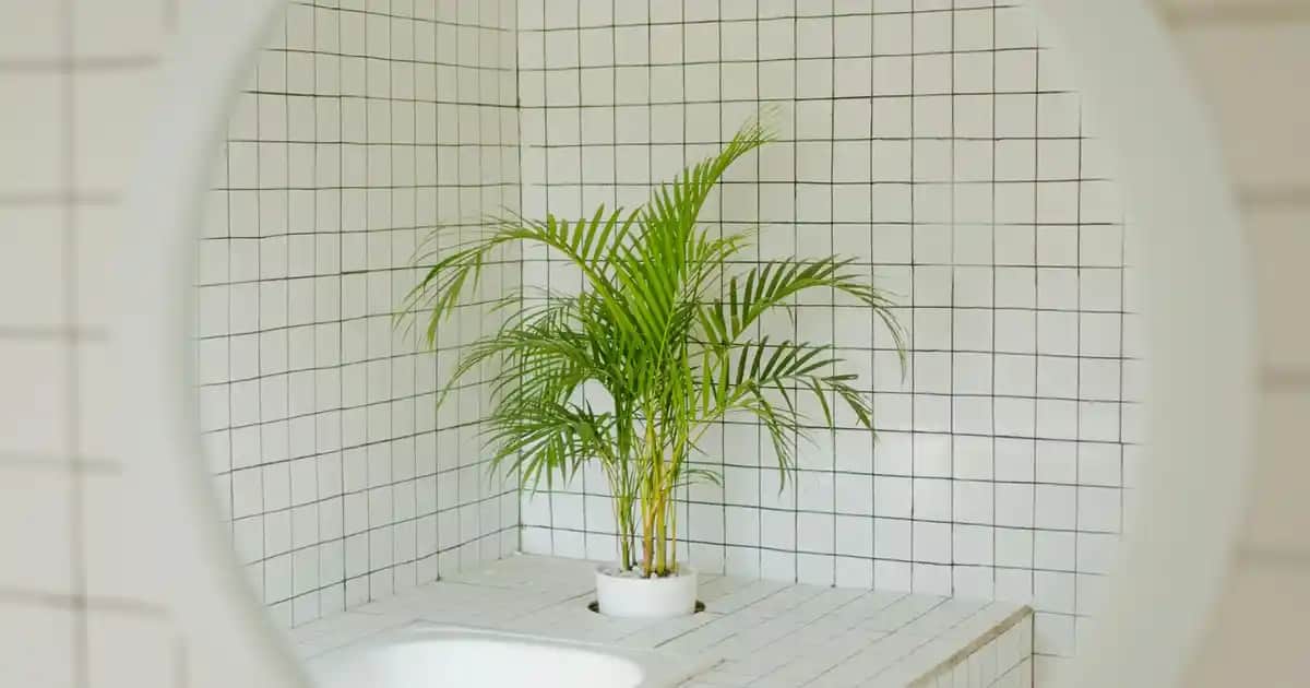 L'Oréal Seri Expert Maske ile Saç Sağlığınızı Güçlendirin ve Parlaklık Kazanın