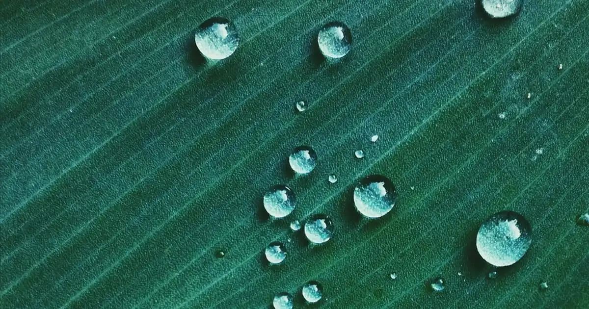 2025'te Kuru ve Hassas Ciltler İçin La Roche-Posay Lipikar Baume AP+M'nin 5 Sırr