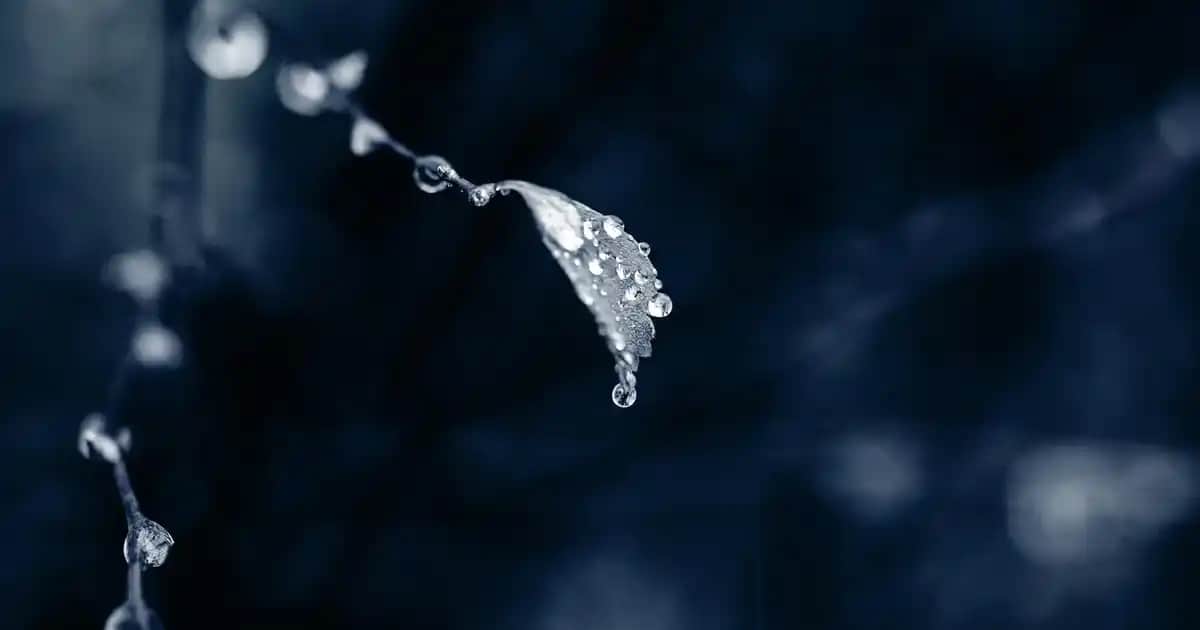 Lapiden Tüy Dökücü Krem Kullanımı ve Doğru Uygulama Yöntemleri Rehberi