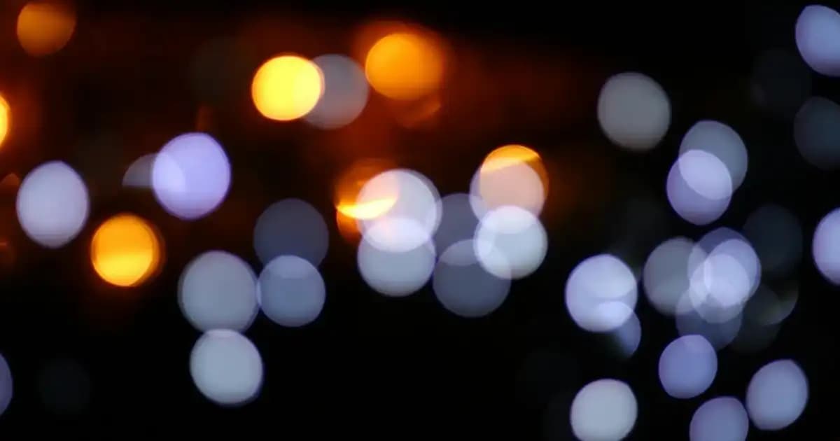 Lens Lot Numarası Sorgulama Yöntemleri ve Güvenilirlik Kontrolü Rehberi