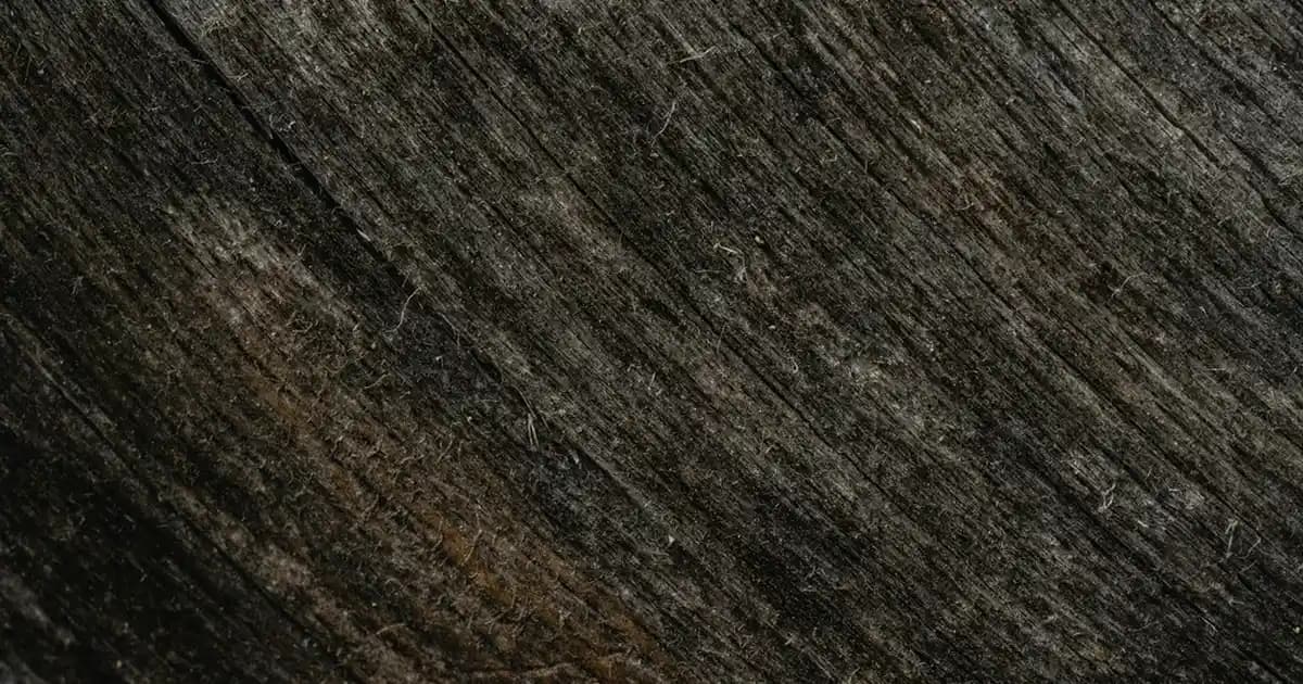 Likit Eyeliner Kullanımı ve Uygulama İpuçlarıyla Gözlerinizi Vurgulayın