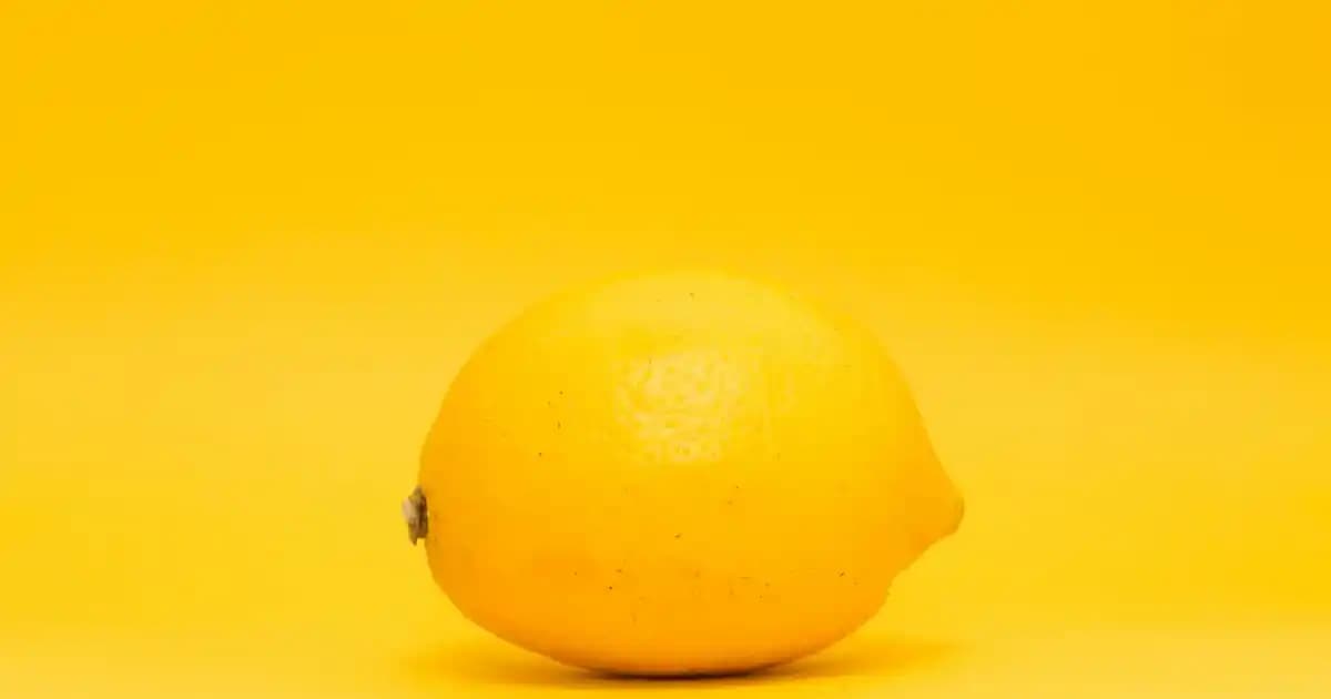 Lipton Bitki Çaylarının Kozmetik ve Güzellikteki Kullanım Potansiyeli