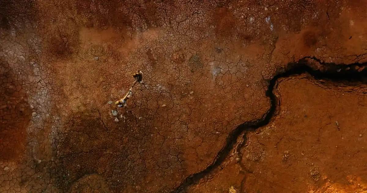 Magnezyum Kapsülleri: Güzellik ve Sağlık İçin Doğru Takviye Seçenekleri