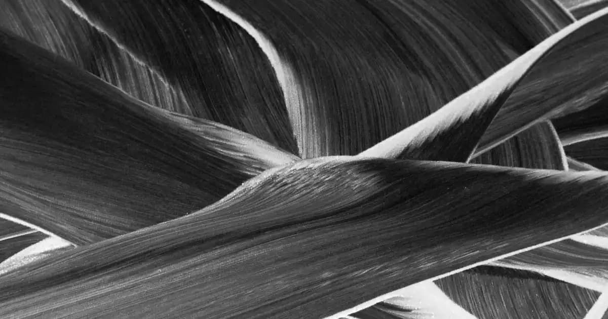 Magnezyum ve Kalsiyumun Sağlık ve Kozmetikteki Önemi ve Kullanım İpuçları