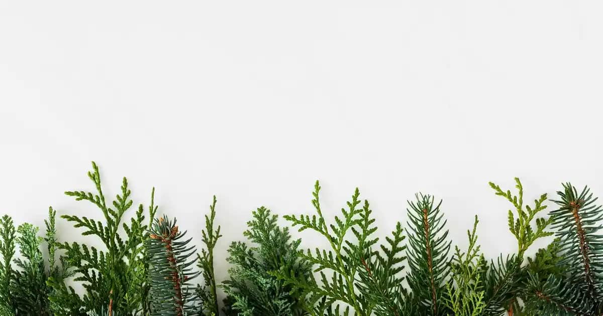 Magnezyumun Kozmetik ve Sağlık Alanındaki Yeri ve Sorvagen Ürünleri Özellikleri