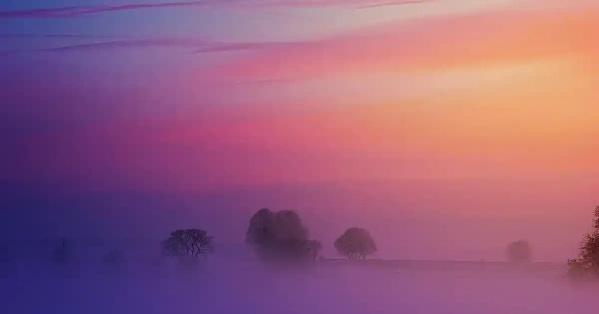 Marka Parfümler: Güvenilirlik, Kalite ve Prestij ile Kendinizi İfade Edin