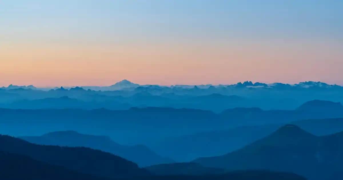 Masaj Yağları Çeşitleri ve Doğru Seçimle Rahatlamanın Yolları