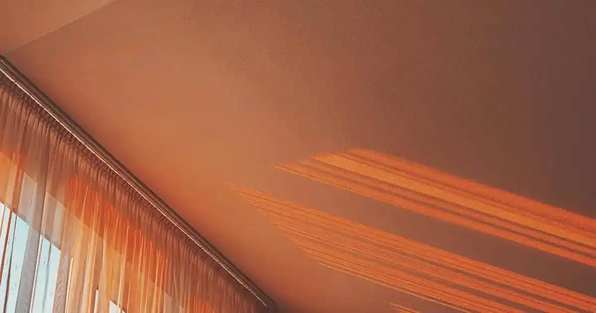 Mavi Anemon Yağı Nedir ve Cilt, Saç ile Kas Sağlığına Faydaları Nelerdir