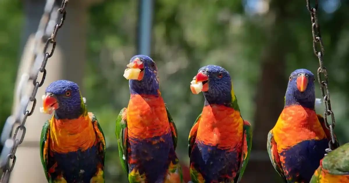 Mavi Vücut Spreyi Seçenekleri ve Kullanım İpuçlarıyla Ferahlatıcı Kokular