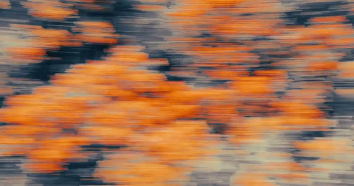 Maybelline Curl Bounce Maskara ile Doğal ve Uzun Süre Kalıcı Kirpikler