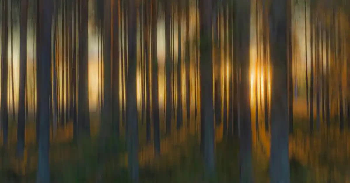 Maybelline Fit Me Serisi: Doğal Görünüm Sağlayan Makyaj Ürünleri ve Özellikleri