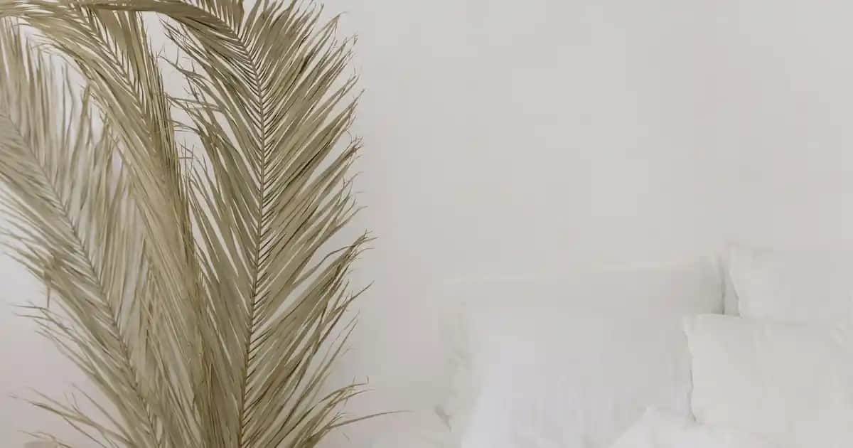 Maybelline Lash Serisi Maskaralar: Kirpiklere Mükemmel Görünüm Sağlayan Ürünler