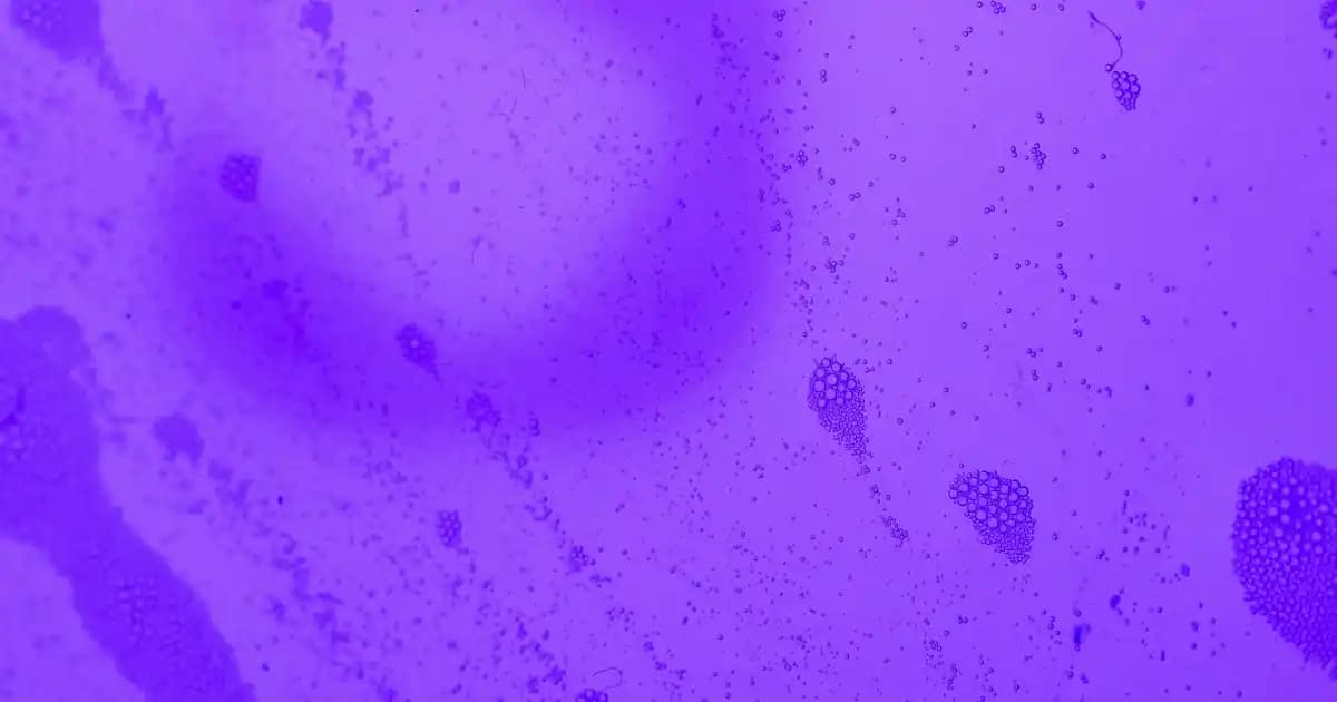 Maybelline Vinyl Ink 10 Dudak Rengi ve Uzun Süreli Dayanıklılık Özellikleri