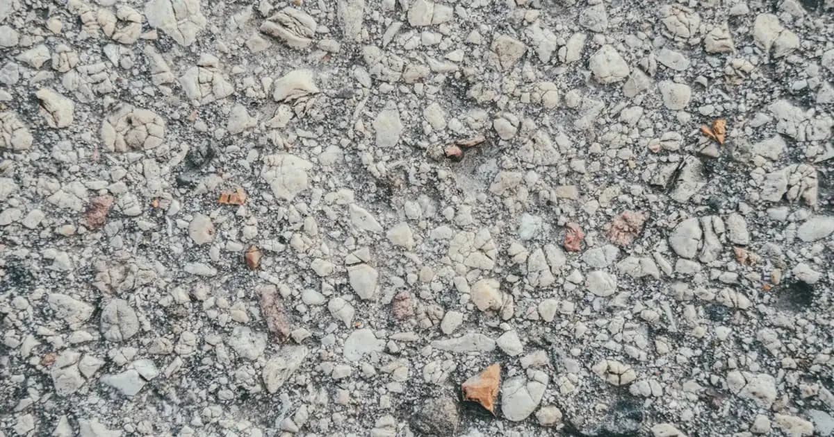 Medikal Kepek Şampuanlarıyla Kepeğe Karşı Etkili Çözüm Yolları ve En İyi Markalar