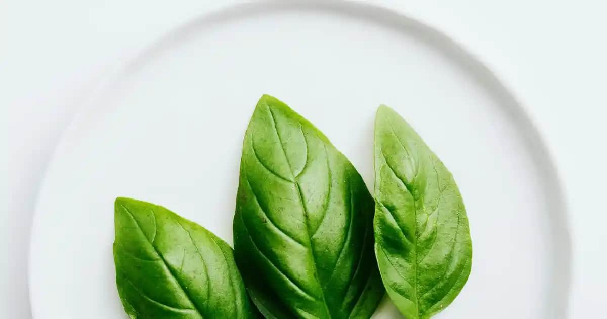 Medohbiotin 5 mg: Saç, Cilt ve Tırnak Sağlığını Destekleyen Yüksek Doz Biotin Takviyesi