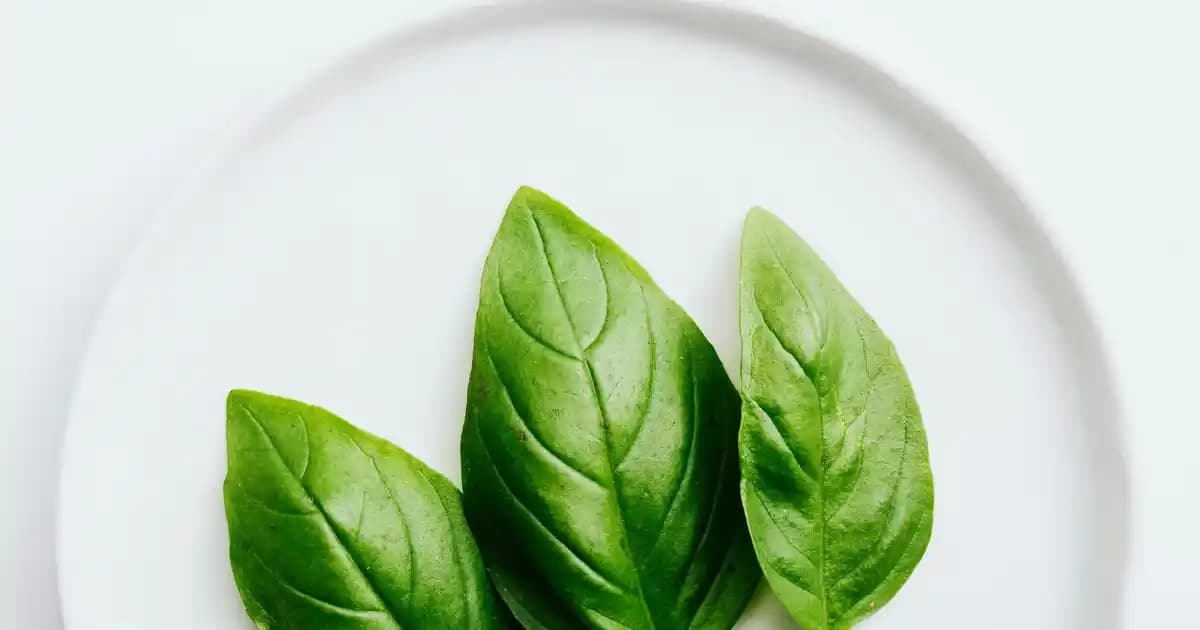 Medohbiotin 5 mg: Saç, Cilt ve Tırnak Sağlığını Destekleyen Yüksek Doz Biotin Takviyesi