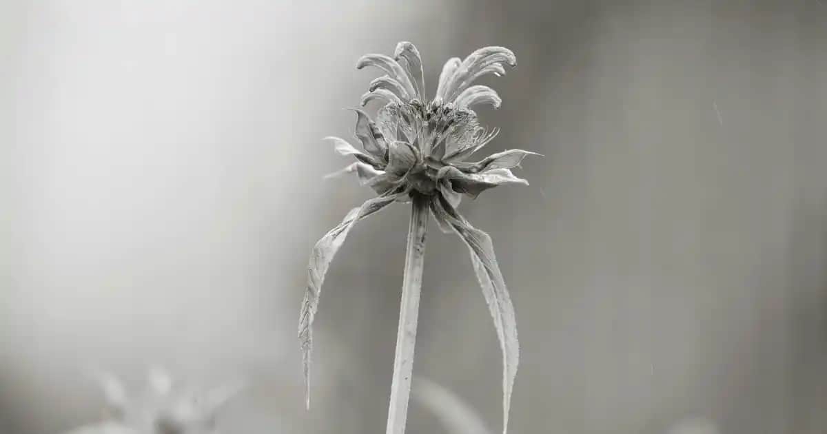 Mor Renkli Gliss Saç Spreyi ile Saçlarınızda Canlılık ve Bakım Sağlayın
