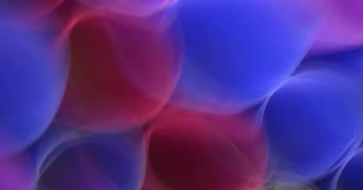 Nascita 3D Kabuki Fondöten Fırçası ile Kusursuz Makyaj Uygulaması ve Profesyonel Sonuçlar