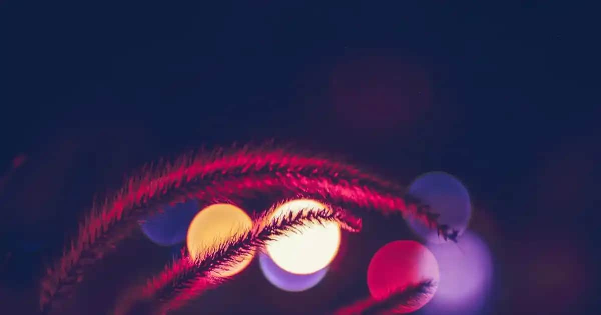 Nascita Tırnak Yapıştırıcıları: Güvenli ve Kaliteli Takma Tırnak Deneyimi Sağlayan Ürünler