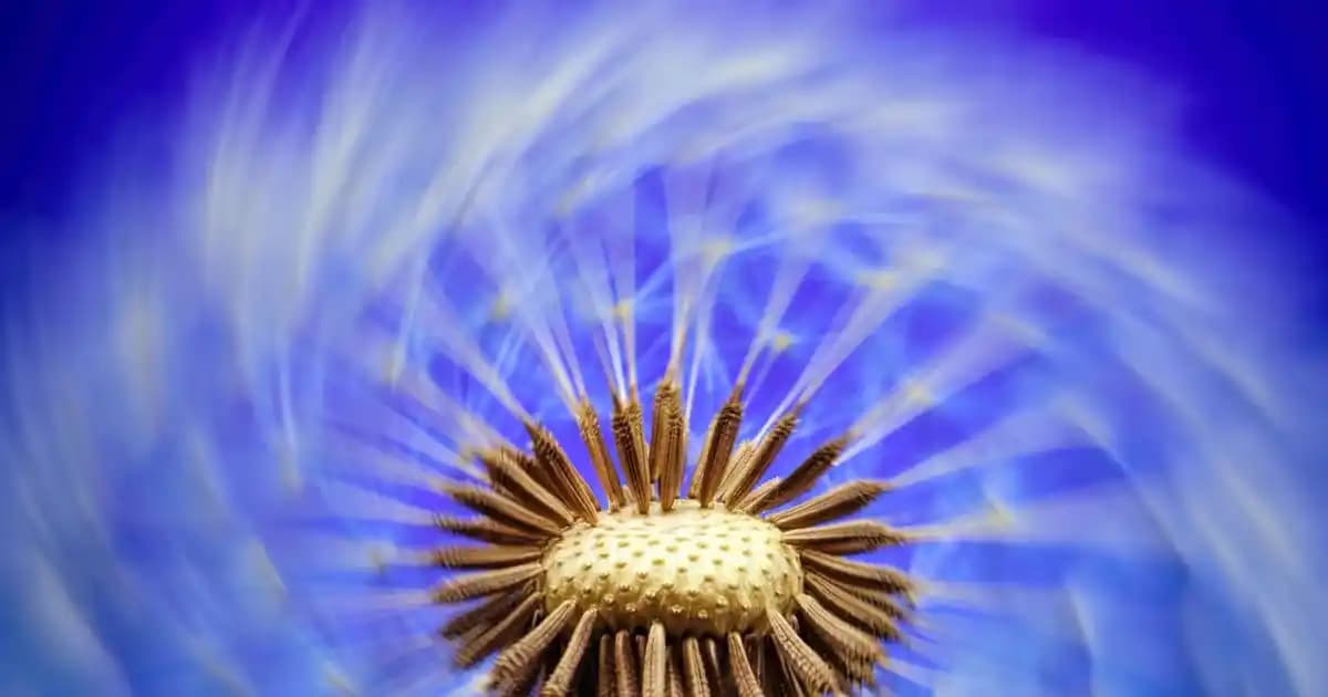 2025'te Nivea Nemlendirici Kremler Yüze Güvenle Nasıl Uygulanır?